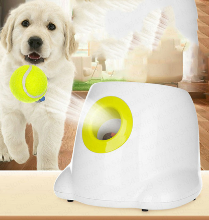 Everyday Essentials™ Ball Launcher with a cute dog and a tennis ball in a playful setting.