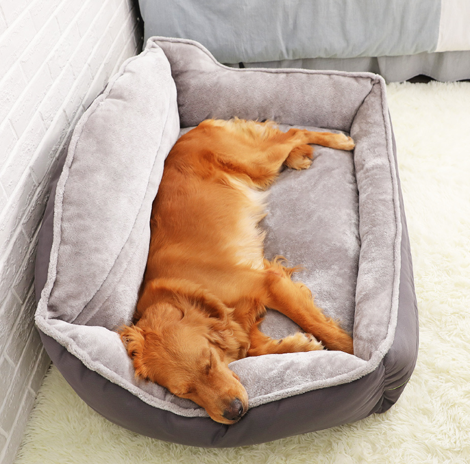 Everyday Essentials™ Dog Bed