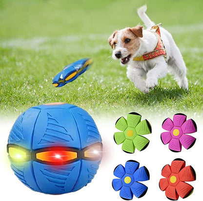 Everyday Essentials™ Dog Frisbee