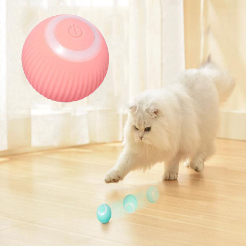 Everyday Essentials™ Interactive Ball